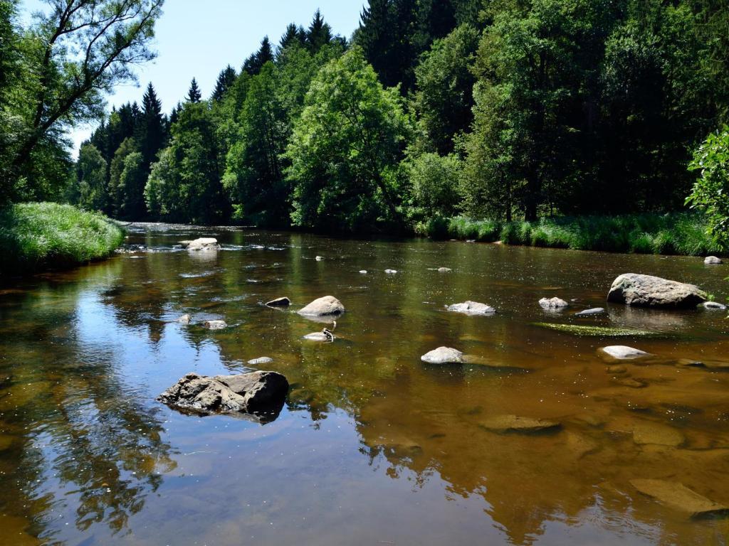 Ferienwohnungen Grill Schönberg Rum bild
